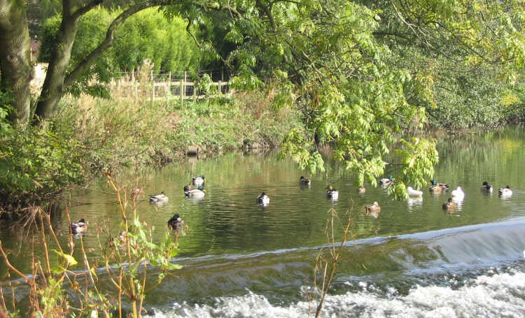 River Calder